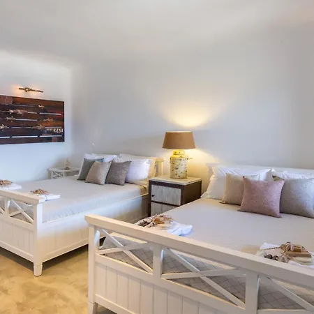 Lagoon Mykonos Βίλα Αγράρι